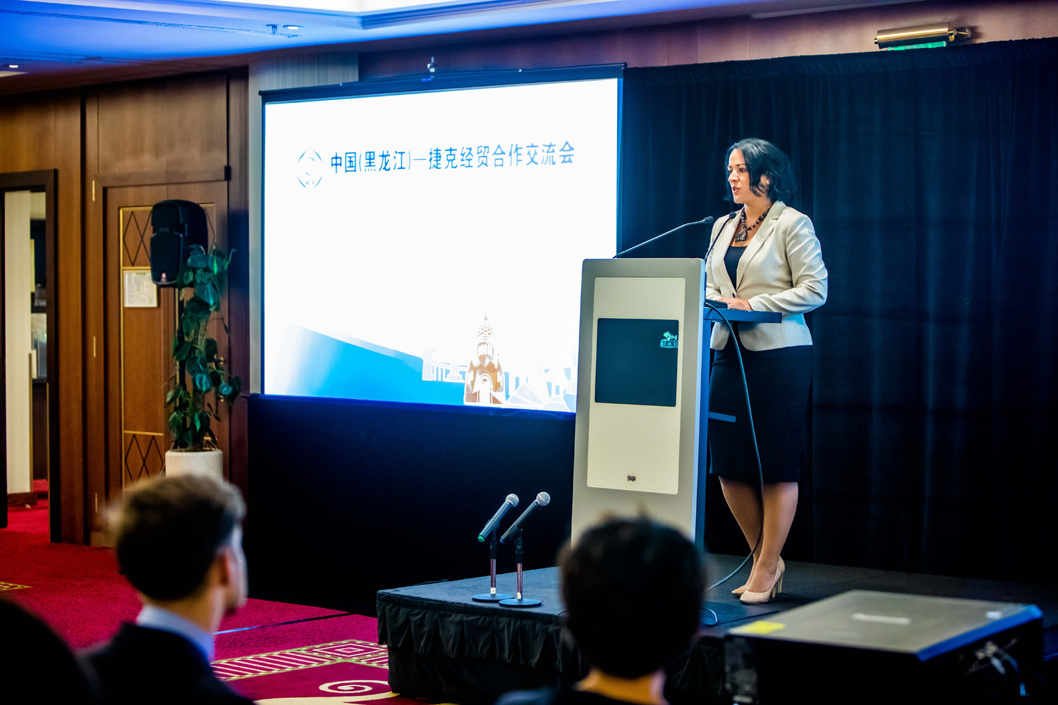 Photo from 2017 Chinese-Czech economic cooperation exchange meeting